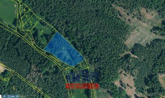 Prodej unikátních lesních pozemků v katastrálním území Hodyn - 4