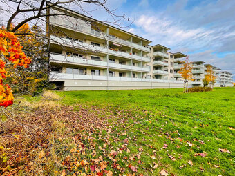 Pronájem vybaveného bytu 2+kk, 53 m2, velký balkon, Olomouc - 4