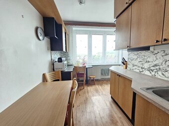 Pronájem bytu 3+1 ve Velkých Opatovicích - 4