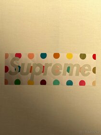 Supreme x Damien Hirst box logo tricko - 4