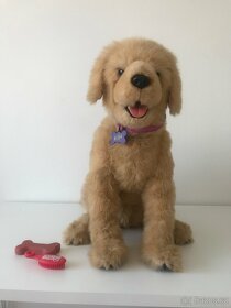 York Frr Biscuit My Lovin Pup - 4