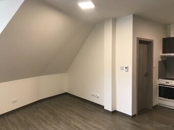 Byt k pronájmu 1+kk (32,9 m2) - 4