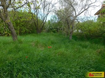 Znojmo, zahrada 609 m2, elektřina, voda, ovocné stromy - zah - 4