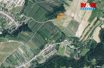 Prodej vinice, 1000 m², Ježov - 4