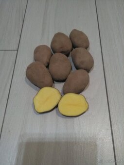 Konzumní brambory červené. - 4