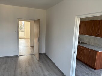 Pronájem bytu 2+1 - 4