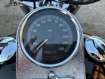 Harley Davidson Softail - 4
