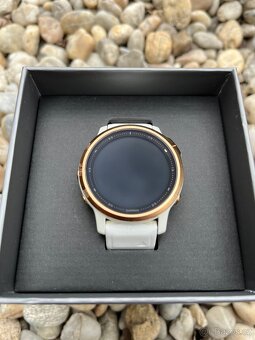 Garmin Fenix 6S Pro - 4