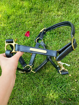 Prodám koženou ohlávku pony/cob - SPĚCHÁ - 4