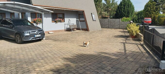 Obyvací pokoj + kuchyň 130m2.Celková obytná plocha 270m2 - 4