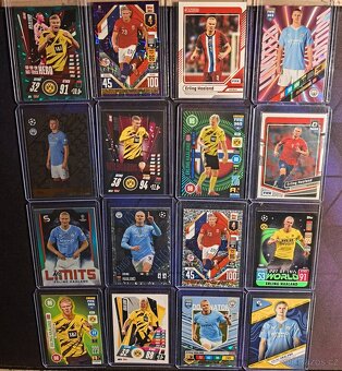 Fotbalové karty Panini a Topps - 4