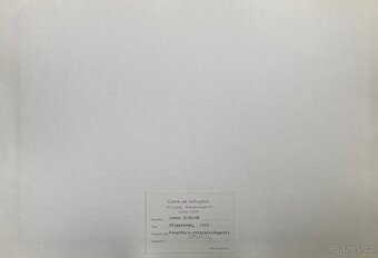 Irena Blühová – Dláždič autorská, okolo 1975 - 4