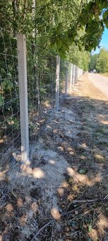 Betonove sloupki 220cm 8cm/8cm - 4