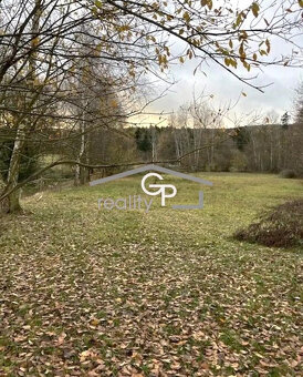 Prodej louky u obce Krasetín - Holubov - 4