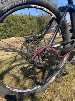 Canyon nerve Al - 4