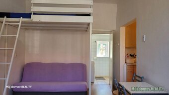 Pronajmu byt o rozloze 30 m2 za 17 500,- Kč, 19 500,- Kč pro - 4