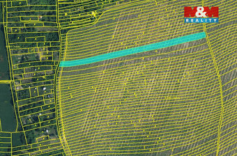 Prodej vinice, 1585 m², Bohuslavice u Kyjova - 4