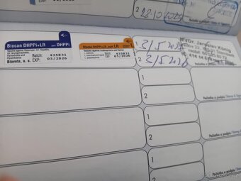 Jorkšírský teriér fenečka bleck Merle - 4