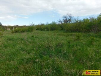 Znojmo, zahrada 473 m2, elektřina, voda, ovocné stromy - zah - 4