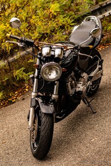 Honda Hornet 600 2001 - 4