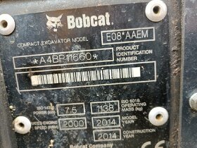 Bobcat - 4