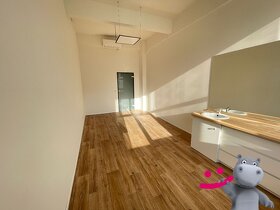 Pronájem komerčního prostoru 20 m2 - Zlín, J. A. Bati 5542 - 4