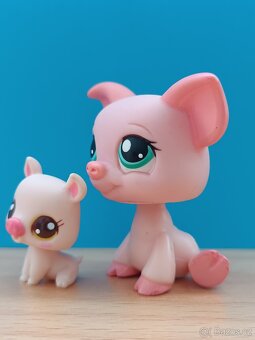 ☘️ LPS prasátka ☘️ - 4