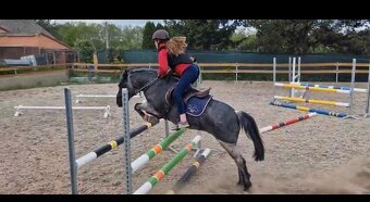 Šikovná pony klisna kat. A na prodej - 4
