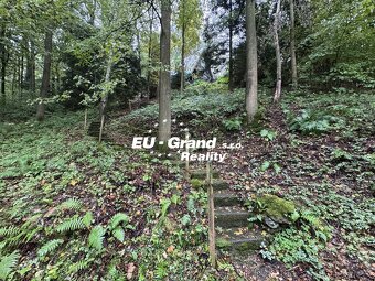 Prodej rekreační chalupy s dlouholetou klientelou – Nová Ves - 4