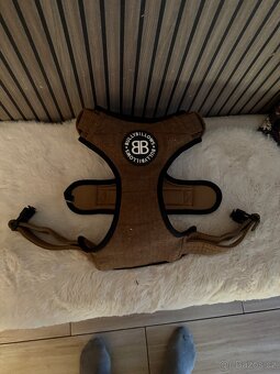 Obojek na buldoka viz foto - 4