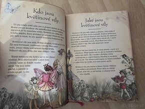 Květinové víly a jejich tajemný svět - 4