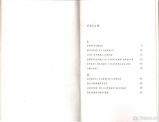 NESMÍRNÝ KRÁSNÝ ŽIVOT - 4