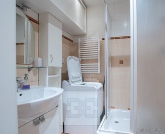 Pronájem bytu 1+kk 26 m², Praha - Holešovice, ev.č. N08519 - 4