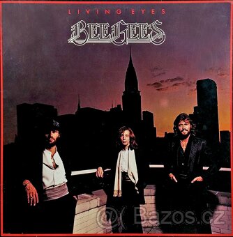 Vinyl - LP desky (rock, pop) - 4