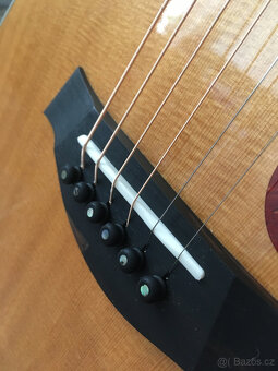 Taylor 414ce celomasiv - 4