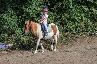 Pony kobylka - 4