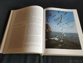 Birds Britannica - 4