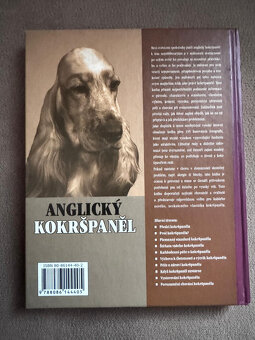 Anglický kokršpaněl (Haja van Weesemová) - 4