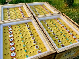 LiFePO4 baterie Winston 260Ah, 300Ah, 400Ah (Nové) - 4