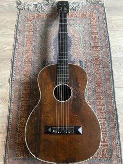 Martin Coletti G40 Masiv - 4