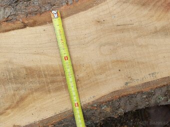 Třešeň fošny - 4