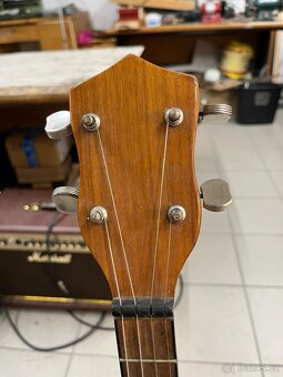 Tenorové banjo Tarpan - 4
