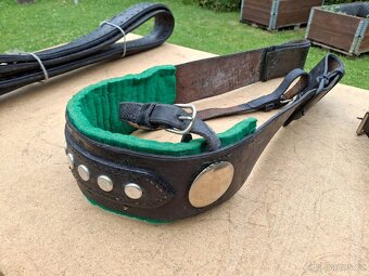 Postroje na koně - 4