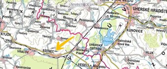 Prodej vinice v k.ú. Bzenec - 4