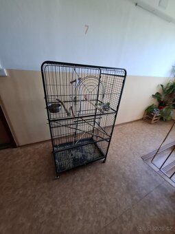 Klec pro papouška - 4