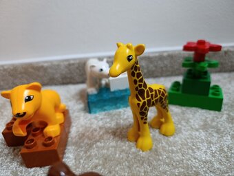 LEGO Duplo 4962 Baby Zoo - 4