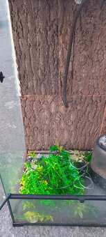 Prodám terárium příslušenství - 4