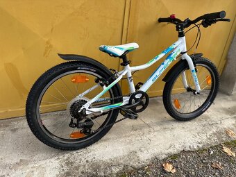 Superior Paint 20 kolo s páčkovým řazením - váha 9,5kg - 4