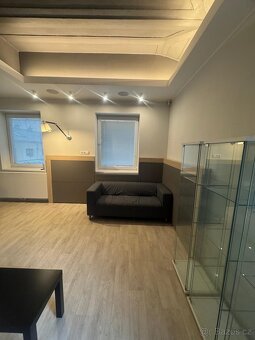 PRONÁJEM NEBYTOVÉHO PROSTORU 65 m² - 4