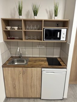 PRONÁJEM OBCHODNÍCH PROSTOR / KANCELÁŘE LITOVEL - 4